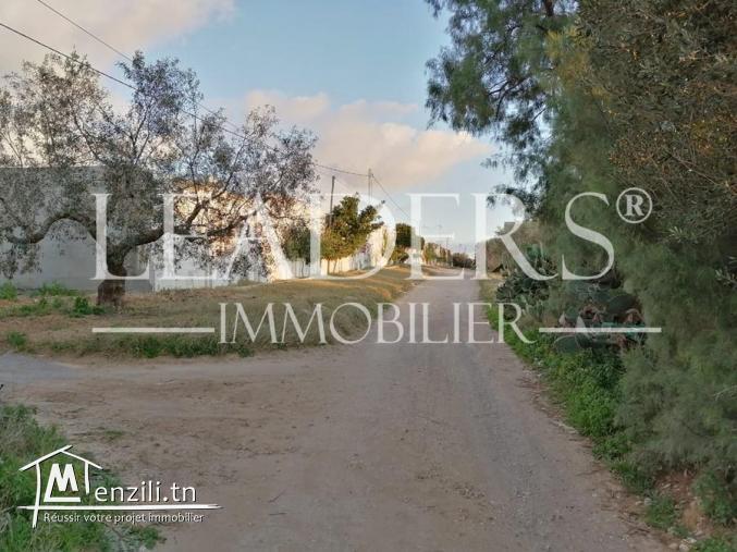 un superbe terrain situé à kharroub bareket sahel 27246310