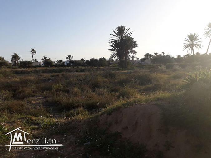 Terrain à vendre dans un zone urbaine a midoun 
