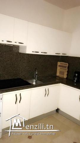 Luxueuses appartements à louer