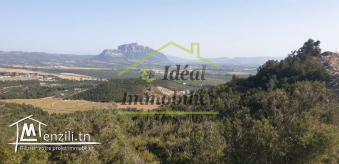 Opportunité !! A vendre un somptueux terrain à Monrag