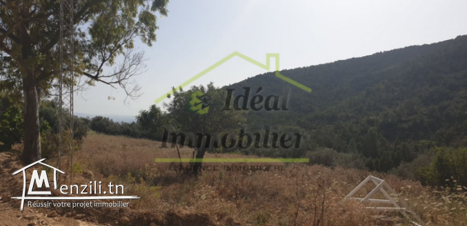 Opportunité !! A vendre un somptueux terrain à Monrag