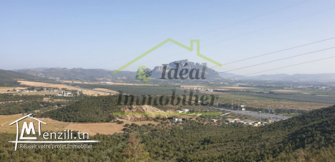 Opportunité !! A vendre un somptueux terrain à Monrag