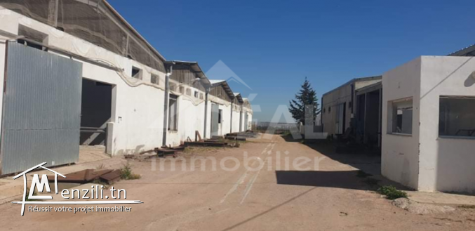Ferme de 08 hectares à Borj El Amri