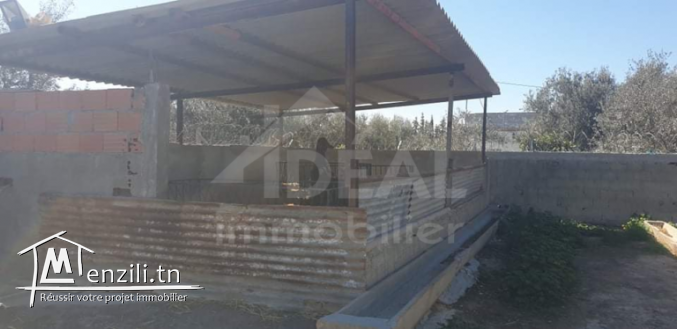 Ferme de 08 hectares à Borj El Amri