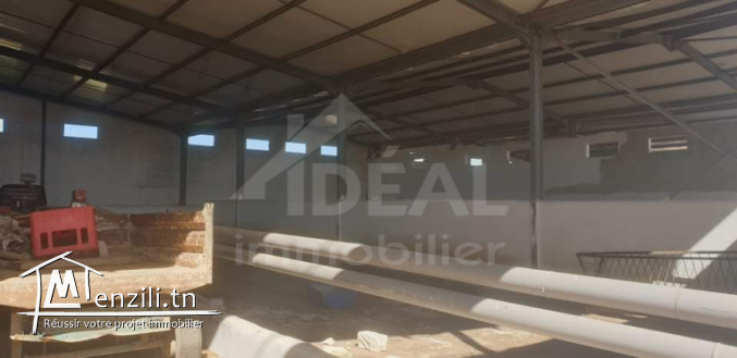 Ferme de 08 hectares à Borj El Amri