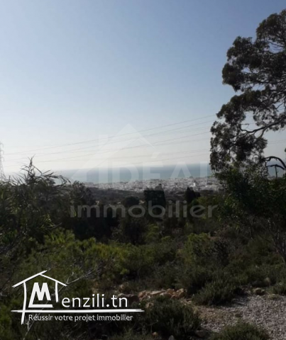 Terrain avec vue panoramique sur Hammamet
