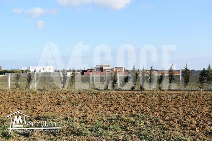 أرض في حمامات الجنوبية