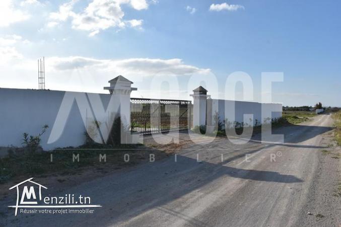 أرض في حمامات الجنوبية