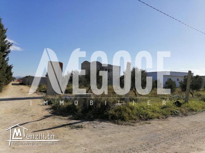 أراضي في الحمامات ذات صبغة سكنية