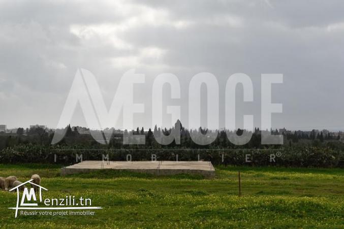 terrain à ceinture hammamet-nabeul