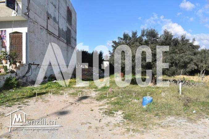 un terrain commercial