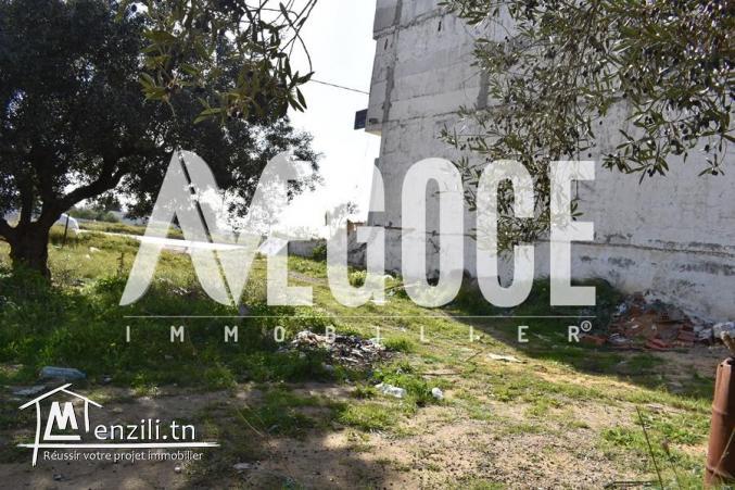 un terrain commercial