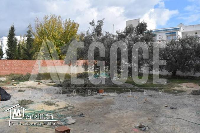 un terrain à baraket sahel hammamet