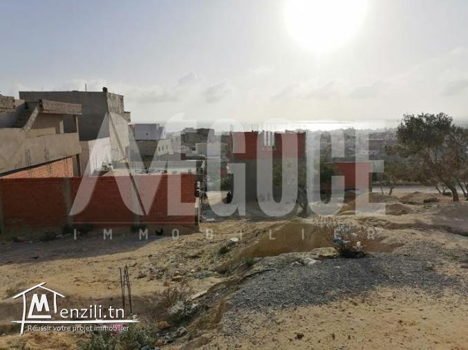 un terrain vu de mer