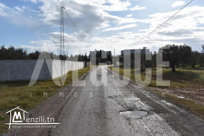 un superbe terrain situé à Monchar Hammamet