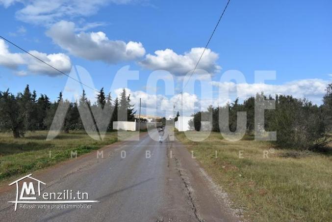 un superbe terrain situé à Monchar Hammamet