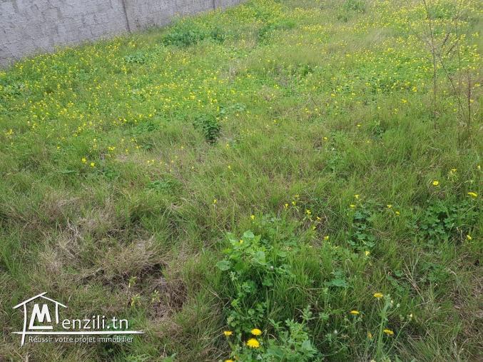 nouveau terrain à la soukra