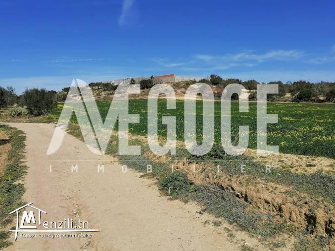 un superbe terrain de 3108 m2