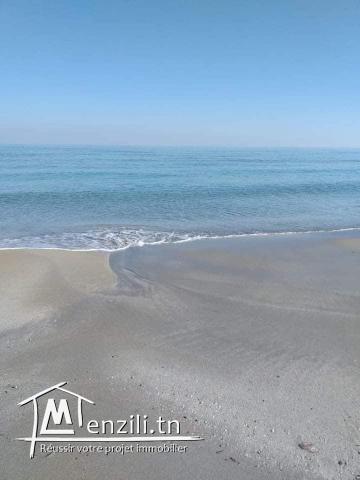 Terrain à Dar Allouch