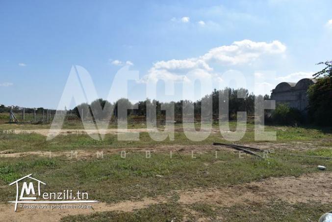 un superbe terrain de 800 m2