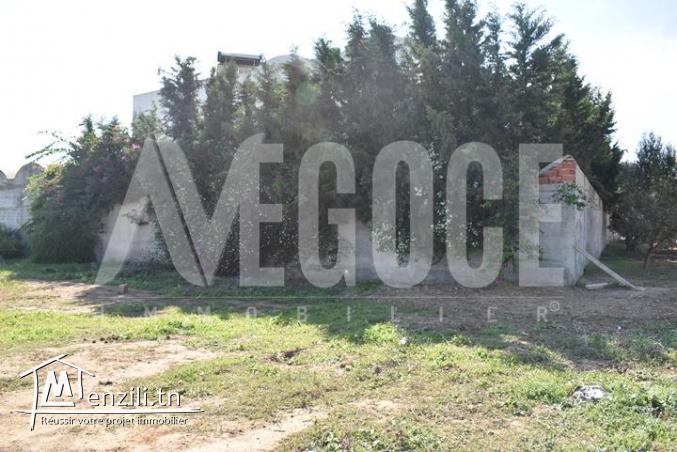 un superbe terrain de 800 m2