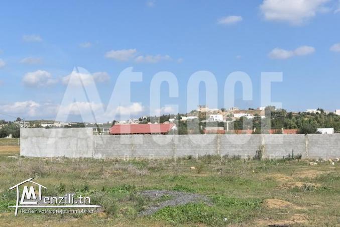 un superbe terrain de 800 m2