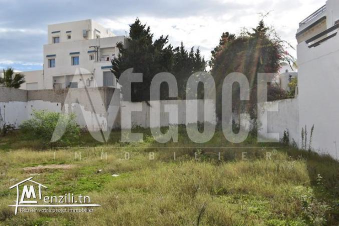 un superbe terrain de 636 m2 à hammamet