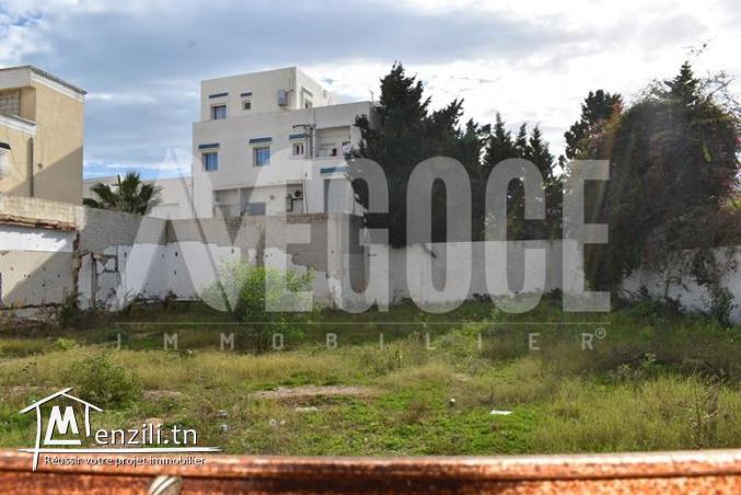 un superbe terrain de 636 m2 à hammamet