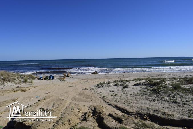 Terrain à El Haouaria