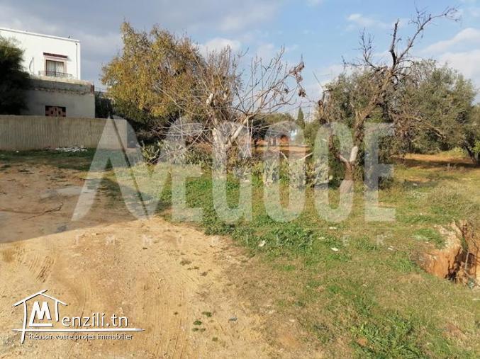 un superbe terrain à kharouba hammamet