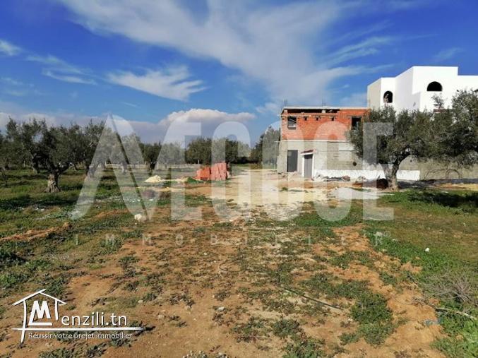 un superbe terrain à kharouba hammamet
