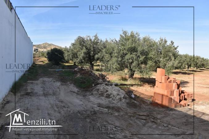 Un superbe Terrain Situé à Mrezga Hammamet 27246310