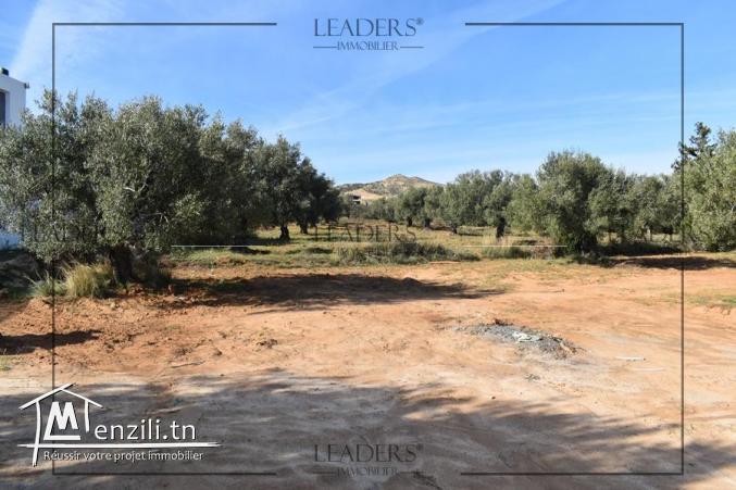 Un superbe Terrain Situé à Mrezga Hammamet 27246310