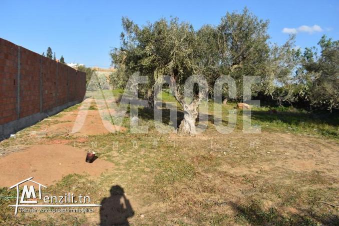 un superbe terrain à CHRAF HAMMAMET