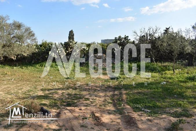 un superbe terrain à CHRAF HAMMAMET