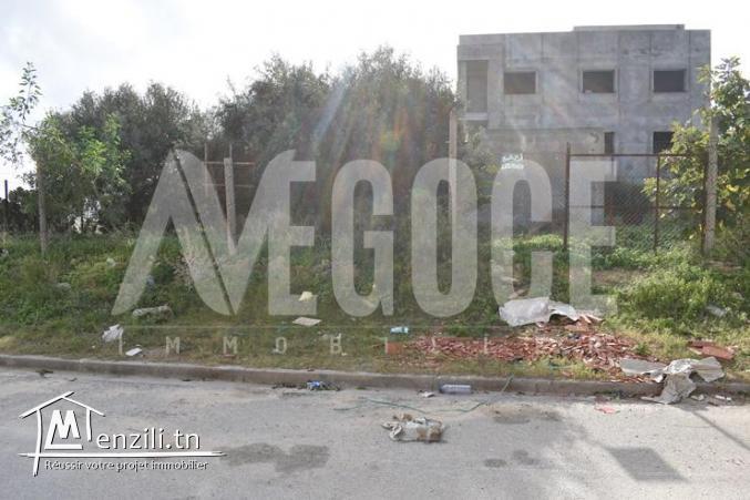 un terrain à AFH mrezga