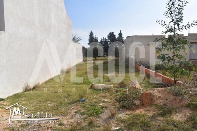 un terrain à kharouba hammamet