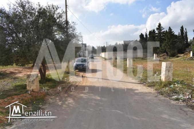un terrain à kharouba hammamet