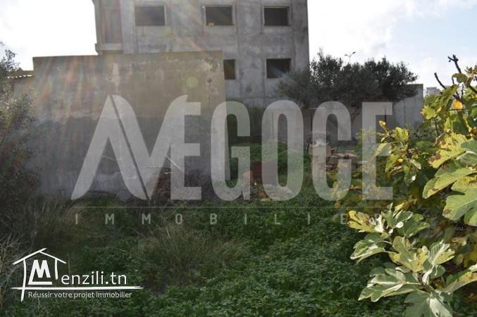 un terrain à AFH mrezga hammamet