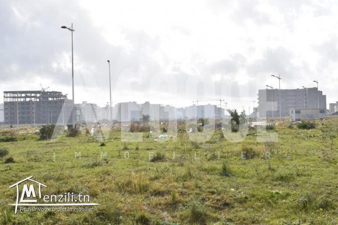 un terrain à AFH mrezga hammamet