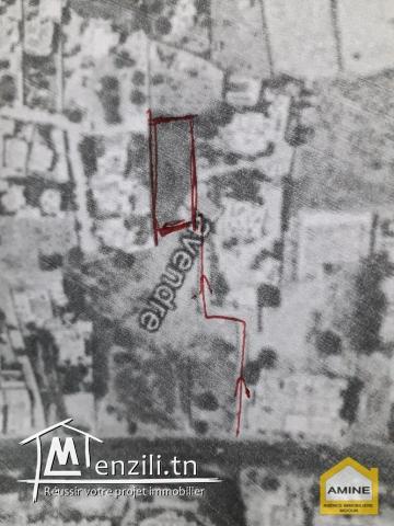 A vendre terrain titré zone touristique à Djerba