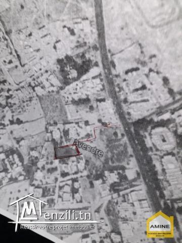 A vendre terrain titré zone touristique à Djerba