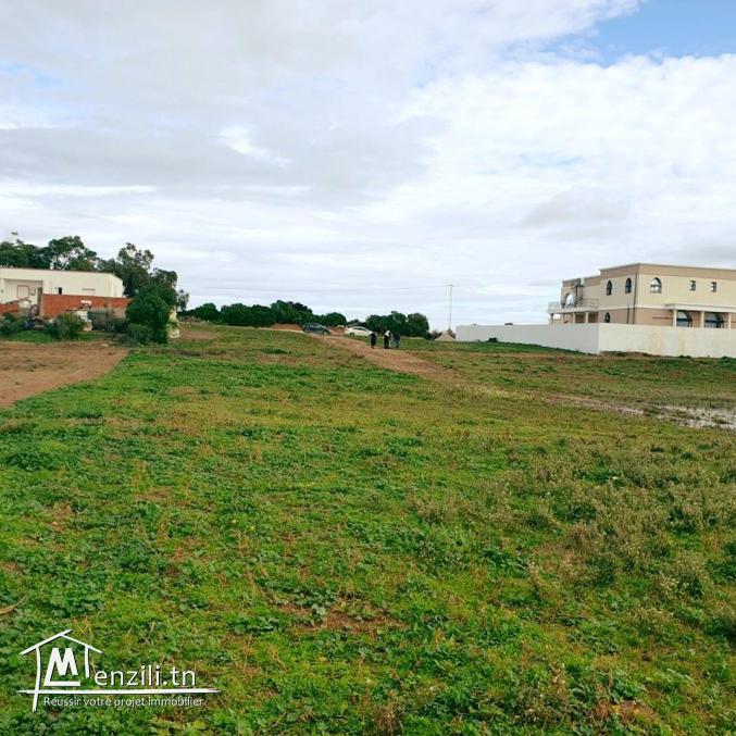 Terrain de 198 m2 à Menzel Horr