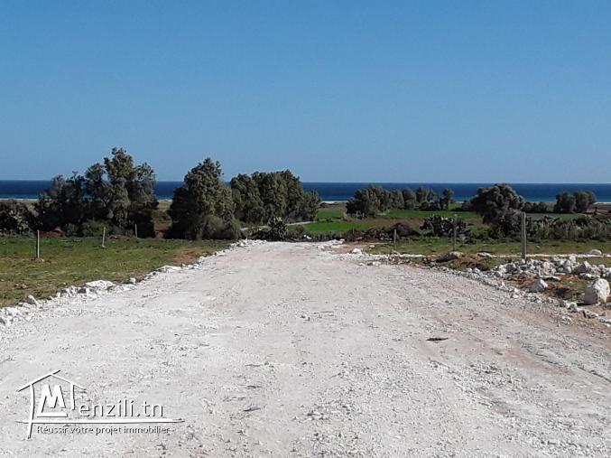 Terrain de 198 m2 à Menzel Horr