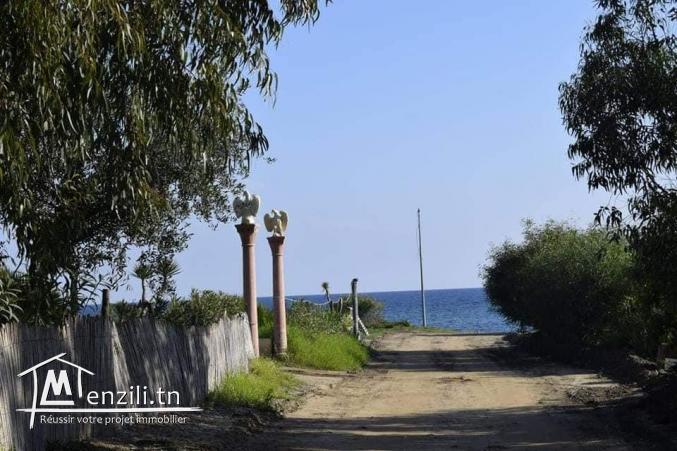 Terrain de 220 m2 à Dar Allouch