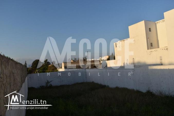 trois lots de terrain clôturés