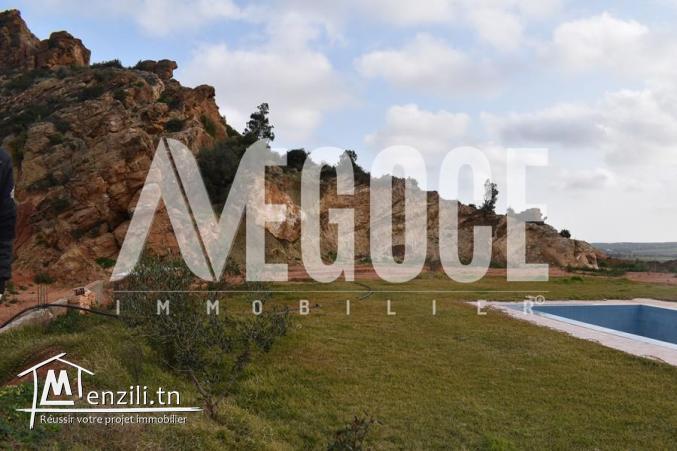 un superbe terrain avec piscine