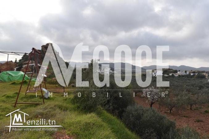 un superbe terrain avec piscine