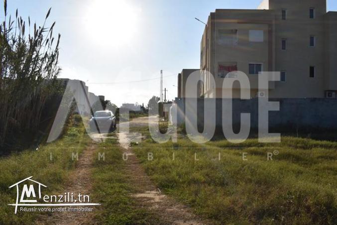 un superbe terrain de 318 m²