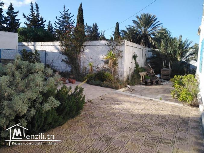 2 terrain à la soukra